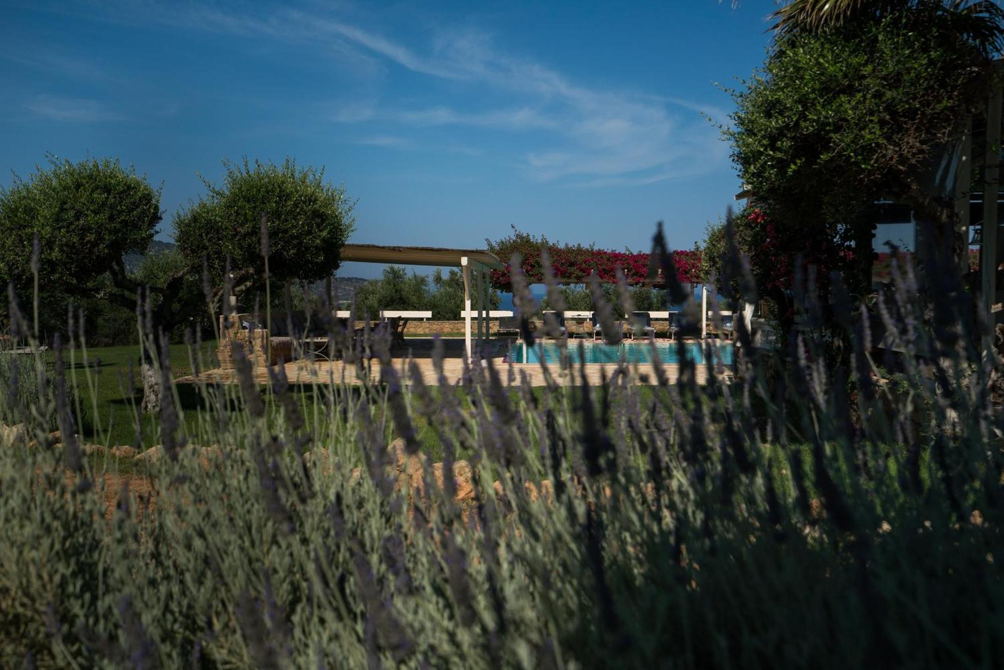 Agrikies Country Retreat Apartment Marathopoli Exterior photo